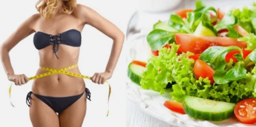 Las reglas de la nutrición son populares